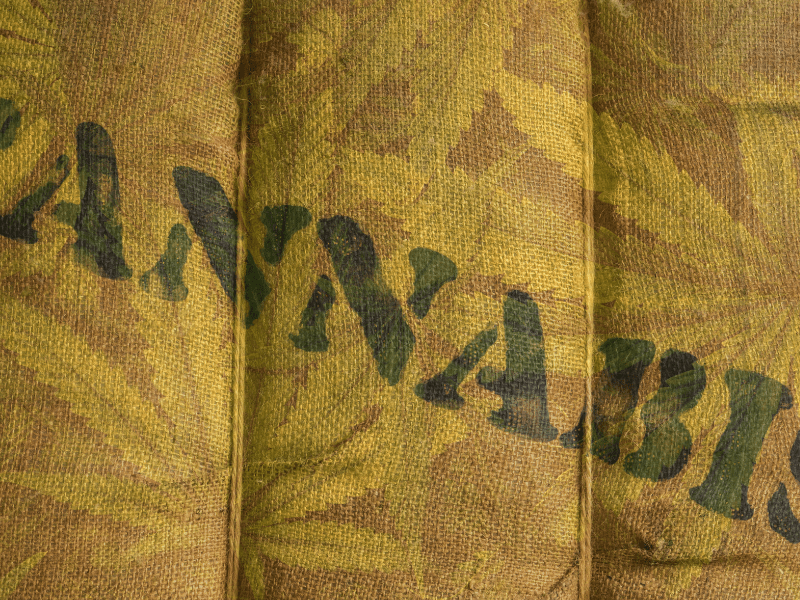 Unveiling CBDa: The Neglected Mother Compound in Cannabis