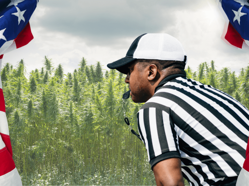 The Policy Shift That Could Redefine Cannabis, Science, and Athlete Recovery